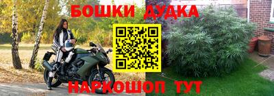 прущие грибы Славянск-на-Кубани