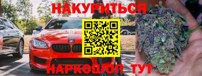 прущие грибы Славянск-на-Кубани