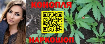 прущие грибы Славянск-на-Кубани